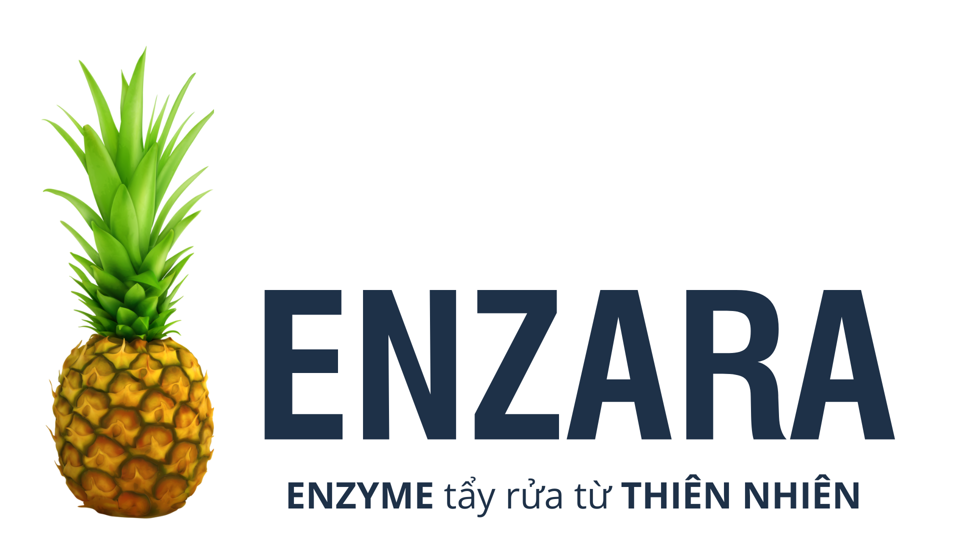 enzara.vn
